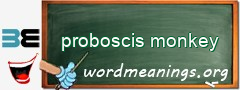 WordMeaning blackboard for proboscis monkey